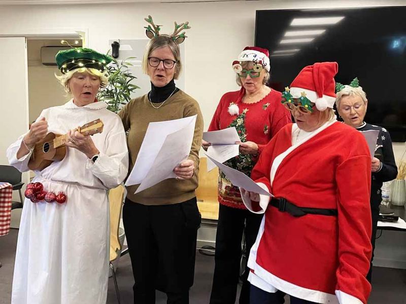 God Jul från Damsektionen!