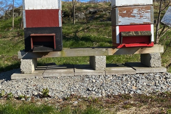 Ny biodlare i Miljökommittén